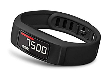 Garmin Vivofit 2
